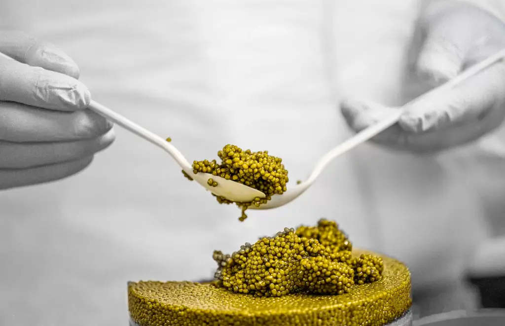 Caviar (Caviar "Premium, 50Gr)