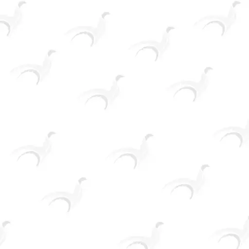 Breton sea bass fillet